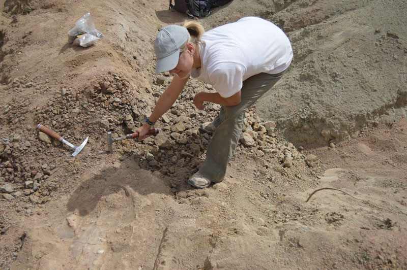 CLAS Supplementary Start-up Funds: Laura Stroik